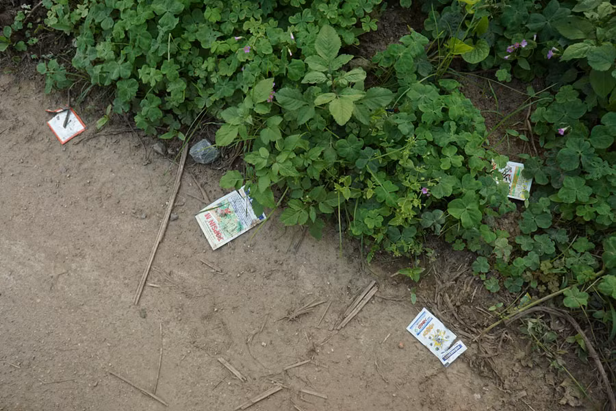 La liệt đủ loại dù đây là khu trồng rau sạch của phường Thúy Lĩnh với rất nhiều các qui chế và cam kết về việc sử dụng thuốc BVTV đúng cách.