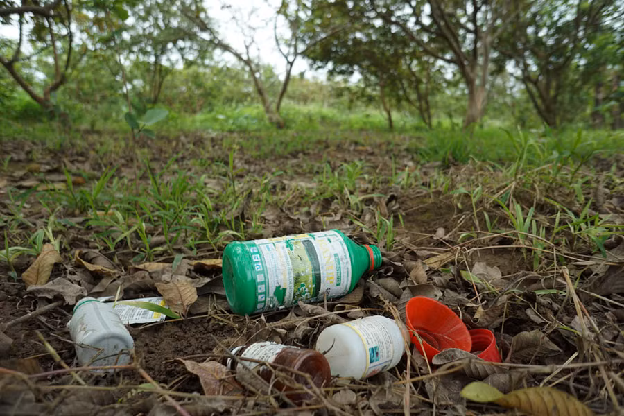 Thế nhưng việc vứt bừa bãi các loại bao bì độc hại này rất phổ biến ngay trong vườn, đồng ruộng, trên lối đi, nguồn nước.