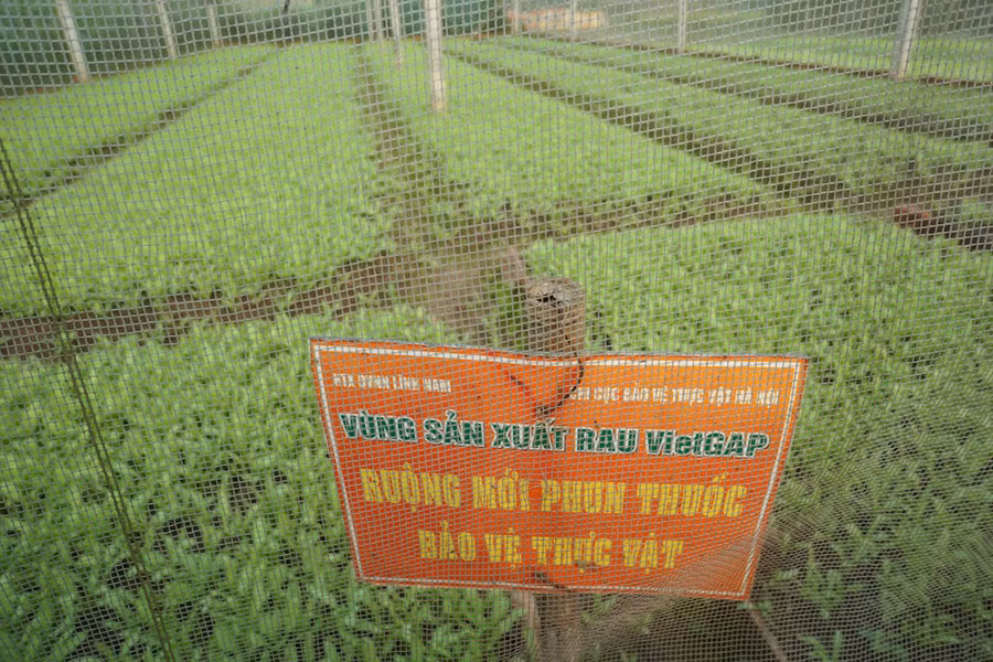 Lác đác có ruộng rau được cắm biển cảnh báo như thế này.