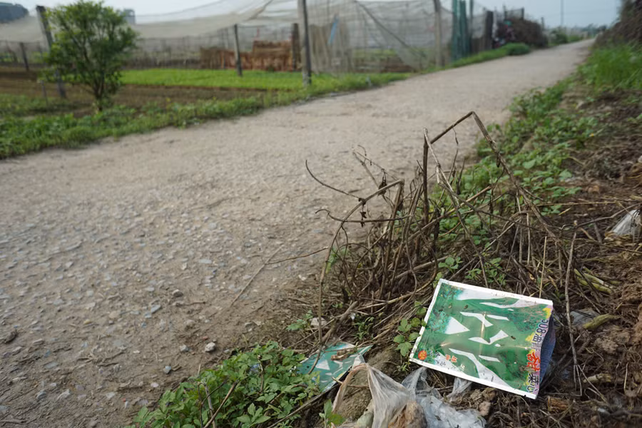 Vỏ bao bì một loại hạt giống cải nhập khẩu hoàn toàn không có tiếng Việt.