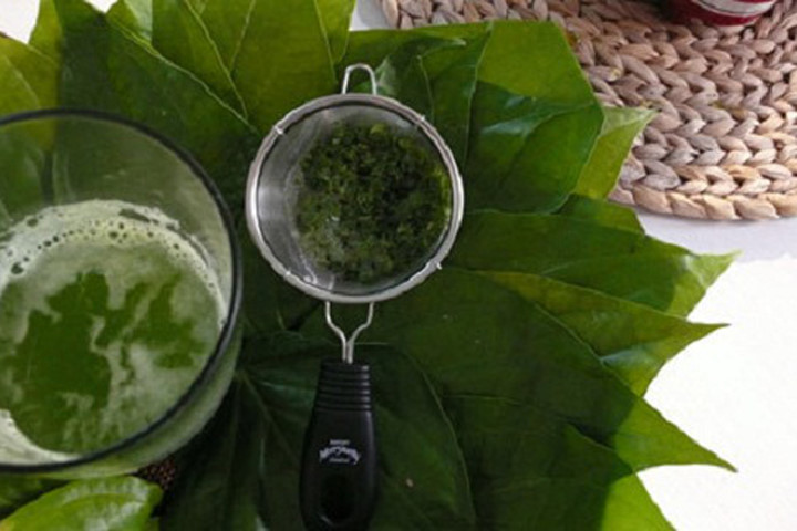 Làm đẹp da bằng lá trầu không