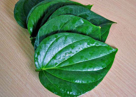 Hãy dùng lá này súc miệng, bỏ qua nước hóa chất đang quảng cáo rầm rộ - Ảnh 1 Hay dung la nay suc mieng, bo qua nuoc hoa chat dang quang cao ram ro - Anh 1