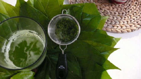 Làm đẹp da bằng lá trầu không - Ảnh 1 Lam dep da bang la trau khong - Anh 1