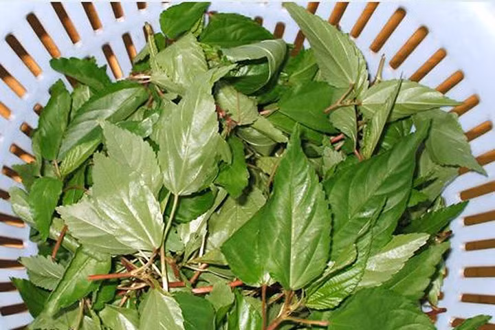 Công dụng chữa bệnh thần kỳ của rau đay