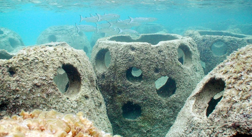 Coral-Reef. Coral-Reef.