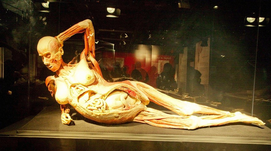 pLastination. pLastination.