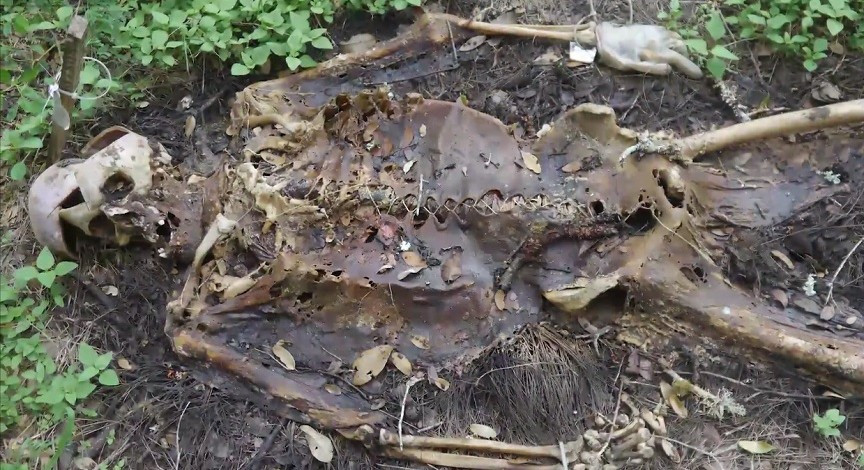 infinityburialproject. infinityburialproject.