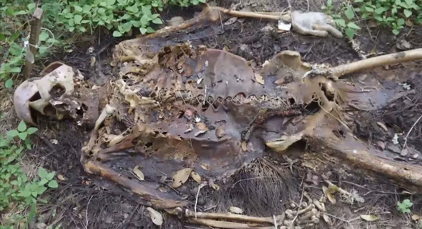 infinityburialproject.