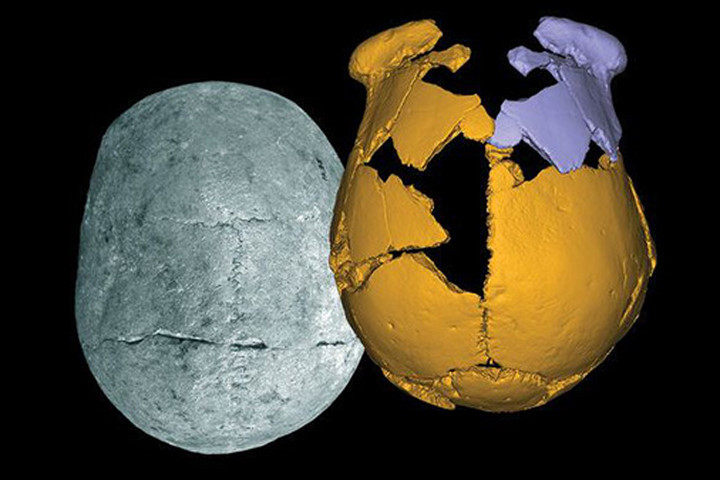 Phát hiện “loài người mới” ở Trung Quốc, nửa người nửa Neanderthal