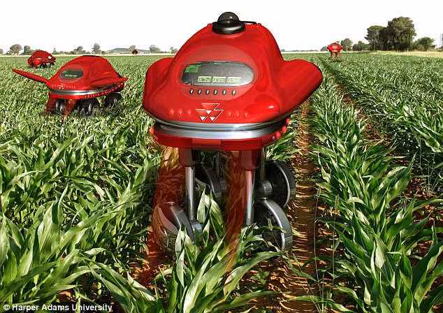 Sản phẩm sẽ được đánh giá khi thu hoạch Sản phẩm sẽ được đánh giá khi thu hoạch