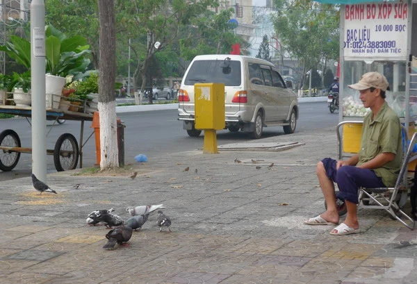 Người đàn ông nuôi đàn chim bên lề đường