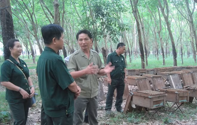 Cựu chiến binh Võ Văn Kiệt phổ biến kinh nghiệm nuôi ong cho các đồng đội.
