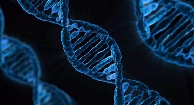 Trung Quốc đã thử sửa gene cho hơn 80 người còn sống