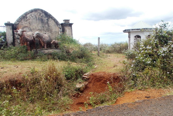 3 con bò đá trước cổng biểu tượng cho hàng nghìn con bò thật và lời hứa ảo.