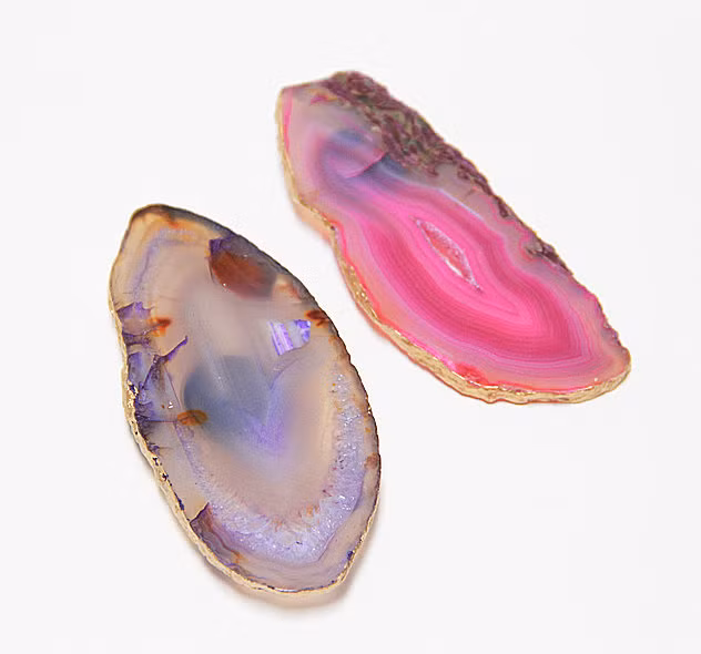 Vỏ sò được sơn màu trở thành vật chặn giấy hay vật trang trí độc đáo.