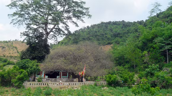 Chùa Tác đứng nằm ở chân núi Khạ