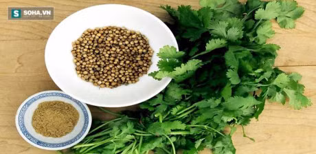 Nguoi dan An Do ton vinh rau mui la thao duoc ky dieu - Anh 2