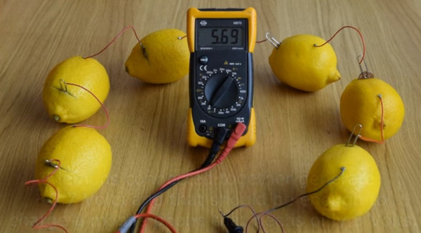 Có thể dùng chanh để sạc điện thoại nhưng chúng ta sẽ cần bao nhiêu quả? ảnh 6 Có thể dùng chanh để sạc điện thoại nhưng chúng ta sẽ cần bao nhiêu quả? ảnh 6