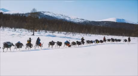 Vuot qua cai lanh -35 do, chang trai den bo lac tuan loc cuoi cung - Anh 6