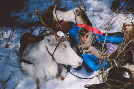 Vuot qua cai lanh -35 do, chang trai den bo lac tuan loc cuoi cung - Anh 5