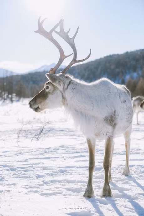 Vuot qua cai lanh -35 do, chang trai den bo lac tuan loc cuoi cung - Anh 3
