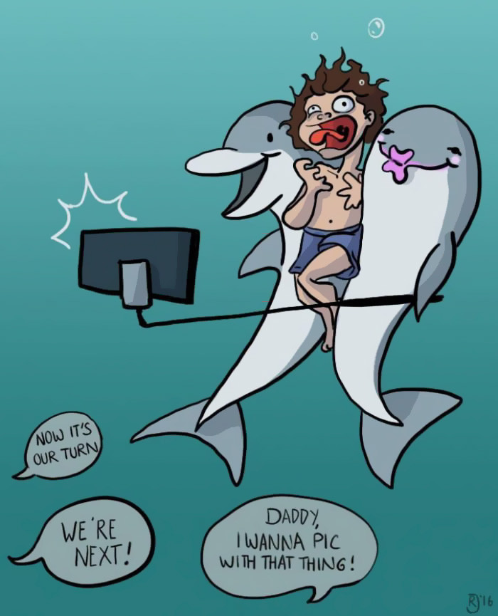 Tình cảnh của những chú cá heo trong công viên nước. Tình cảnh của những chú cá heo trong công viên nước.