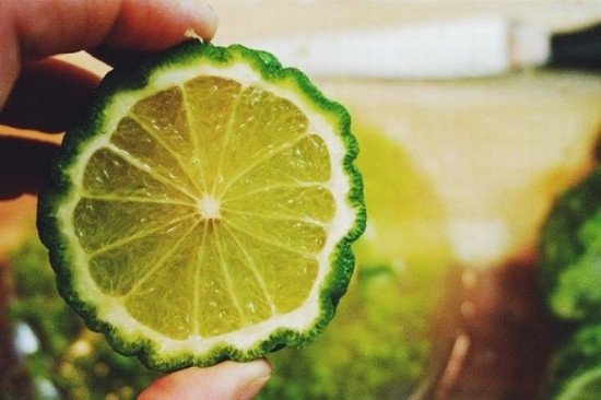 Chanh hình não người Chanh hình não người