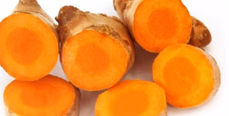 Tac dung chua benh dinh cao tu cu nghe - Anh 1