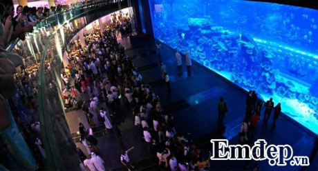 Hồ Quang Hiếu choáng ngợp với món bánh dát vàng ở Dubai - Ảnh 2 Ho Quang Hieu choang ngop voi mon banh dat vang o Dubai - Anh 2