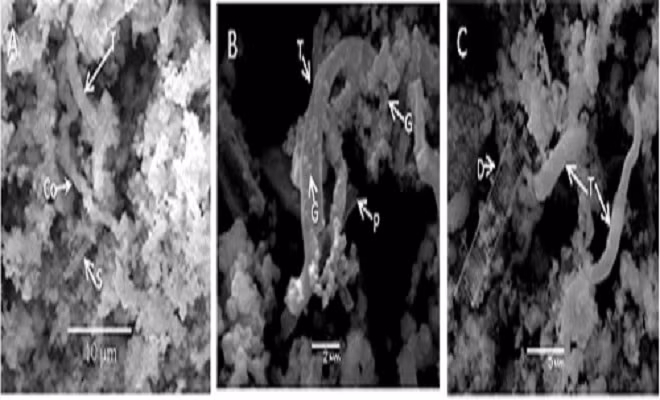 Phát hiện hồ ngũ sắc trong miệng núi lửa dưới đáy biển ảnh 6