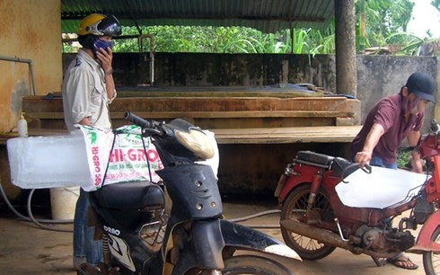 nước đá, vi khuẩn, đá bẩn, đá viên, đá cây, trà đá vỉa hè, nước đá vỉa hè, vi khuẩn tả, ỗ nhiễm, sức khỏe, an toàn vệ sinh thực phẩm, nước đá, vi khuẩn, đá bẩn, đá viên, đá cây, trà đá vỉa hè, nước đá vỉa hè, vi khuẩn tả, ỗ nhiễm, sức khỏe, an toàn vệ sinh thực phẩm,