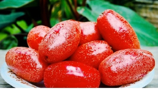 Những điều cần tránh khi ăn quả nhót bạn nên biết ảnh 1 Những điều cần tránh khi ăn quả nhót bạn nên biết ảnh 1