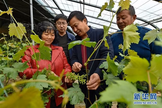 Trung Quốc đặt mục tiêu dành 5 năm để đào tạo một triệu nông dân có trình độ cao.