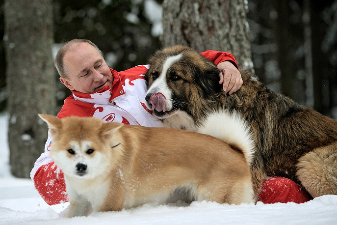 Tổng thống Nga Putin với chú chó Yume và Buffy đi dạo bên ngoài Moscow. Tổng thống Nga Putin với chú chó Yume và Buffy đi dạo bên ngoài Moscow.