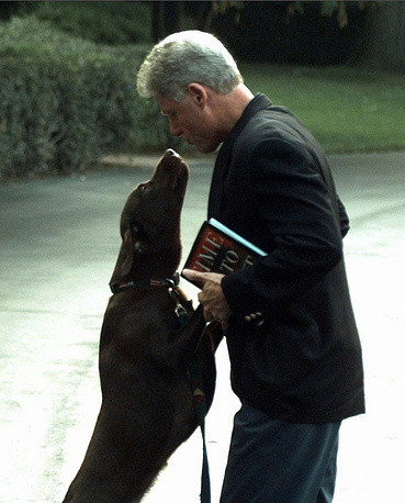Cựu Tổng thống Bill Clinton được chú chó Buddy đón mừng khi ông trở về Nhà trắng năm 1998 Cựu Tổng thống Bill Clinton được chú chó Buddy đón mừng khi ông trở về Nhà trắng năm 1998