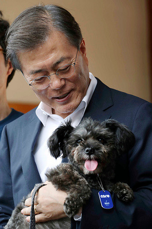 Cựu Tổng thống Hàn Quốc Moon Jae-in và chú chó tên Tory tại Nhà Xanh ở Seoul tháng 2017 Cựu Tổng thống Hàn Quốc Moon Jae-in và chú chó tên Tory tại Nhà Xanh ở Seoul tháng 2017