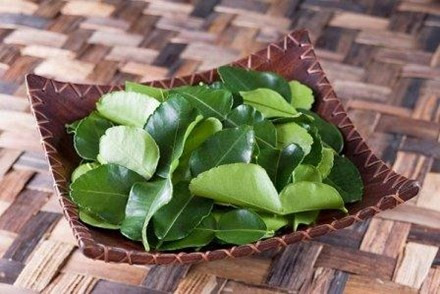 12 công dụng tuyệt vời của lá chanh không thể bỏ qua