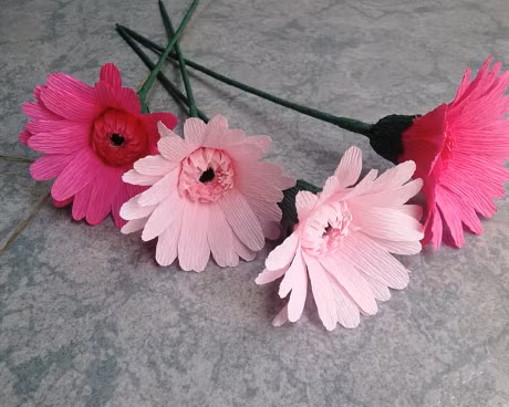 9 loai cay hoa mang y nghia tot lanh ban nen trung trong nha - Anh 2