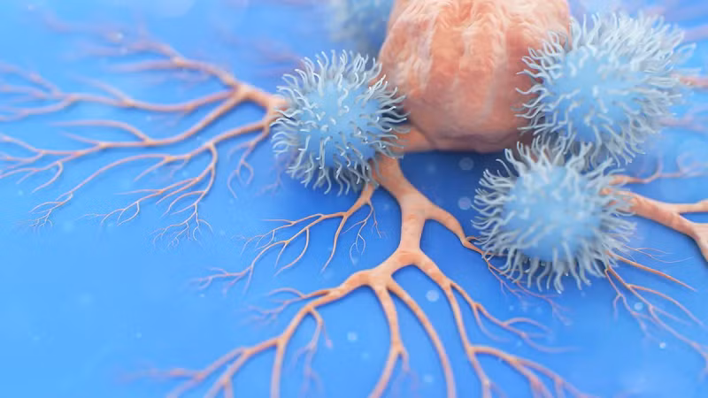 Tế bào sát thủ tự nhiên tấn công tế bào ung thư.