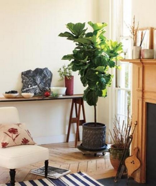 16 mẹo nhỏ bỏ nỗi lo nhà chật. ảnh 13 16 mẹo nhỏ bỏ nỗi lo nhà chật - 13