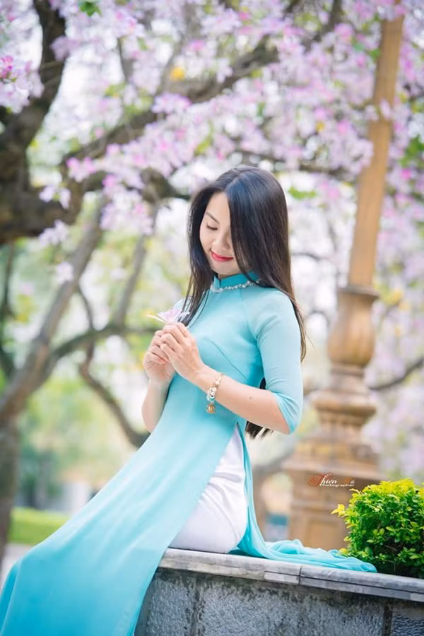 Hình ảnh: Ngắm thiếu nữ đẹp dịu dàng dạo đường hoa ban Bắc Sơn số 6