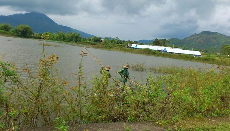 Giữa ban ngày dùng thuyền rà cá bằng xung điện công suất lớn. Giữa ban ngày dùng thuyền rà cá bằng xung điện công suất lớn.