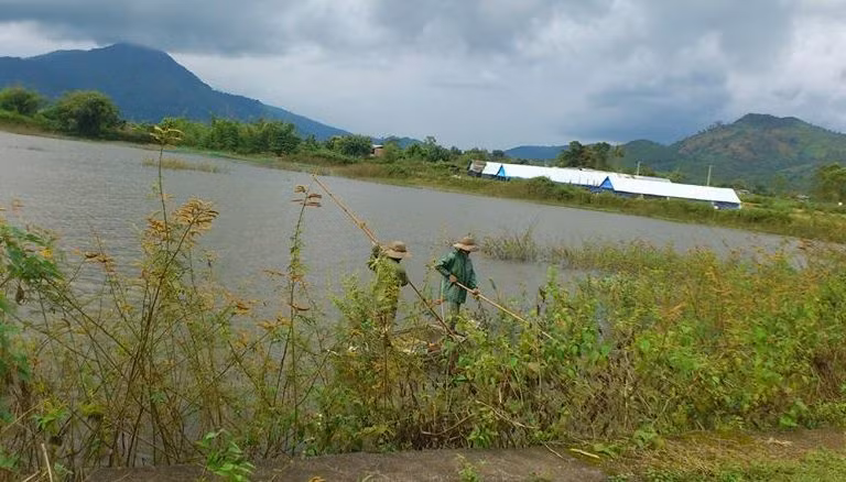 Giữa ban ngày dùng thuyền rà cá bằng xung điện công suất lớn.