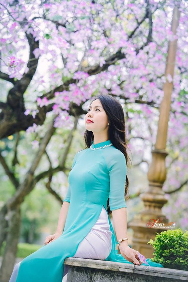 Hình ảnh: Ngắm thiếu nữ đẹp dịu dàng dạo đường hoa ban Bắc Sơn số 10