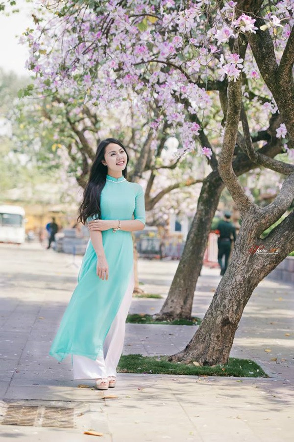 Hình ảnh: Ngắm thiếu nữ đẹp dịu dàng dạo đường hoa ban Bắc Sơn số 4