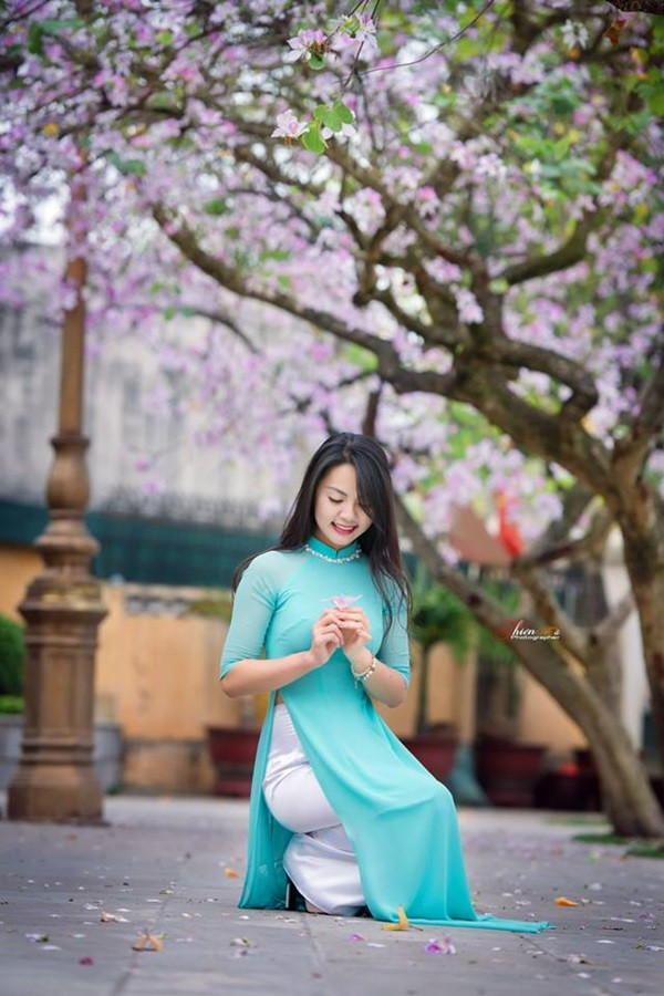 Hình ảnh: Ngắm thiếu nữ đẹp dịu dàng dạo đường hoa ban Bắc Sơn số 7