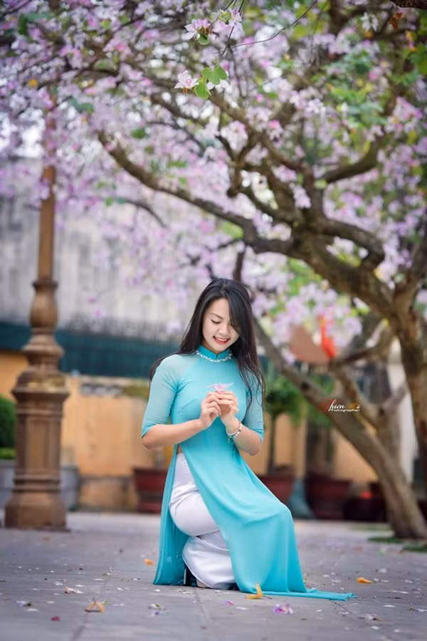 Hình ảnh: Ngắm thiếu nữ đẹp dịu dàng dạo đường hoa ban Bắc Sơn số 7
