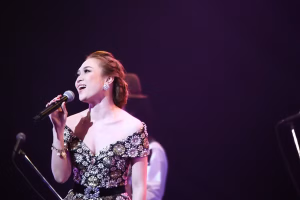 Mỹ Tâm tỏa sáng niềm tự hào Việt Nam tại Nhật Bản ảnh 4