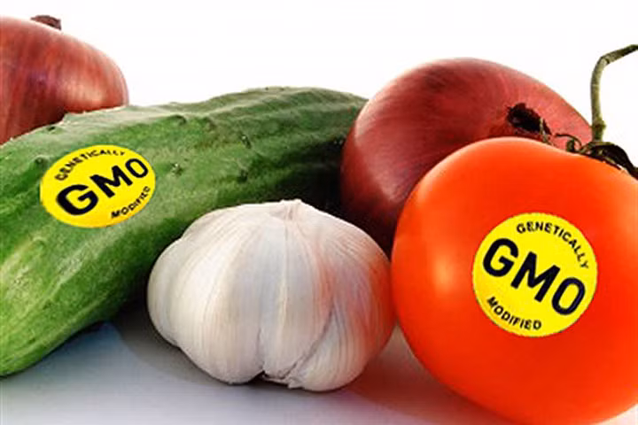 Người tiêu dùng hoang mang với thực phẩm biến đổi gen