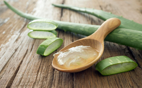 Cách pha nha đam đường phèn ngọt thanh không đắng giải nhiệt mùa nóng - Ảnh 2 Cach pha nha dam duong phen ngot thanh khong dang giai nhiet mua nong - Anh 2